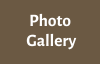 Photo Gallery